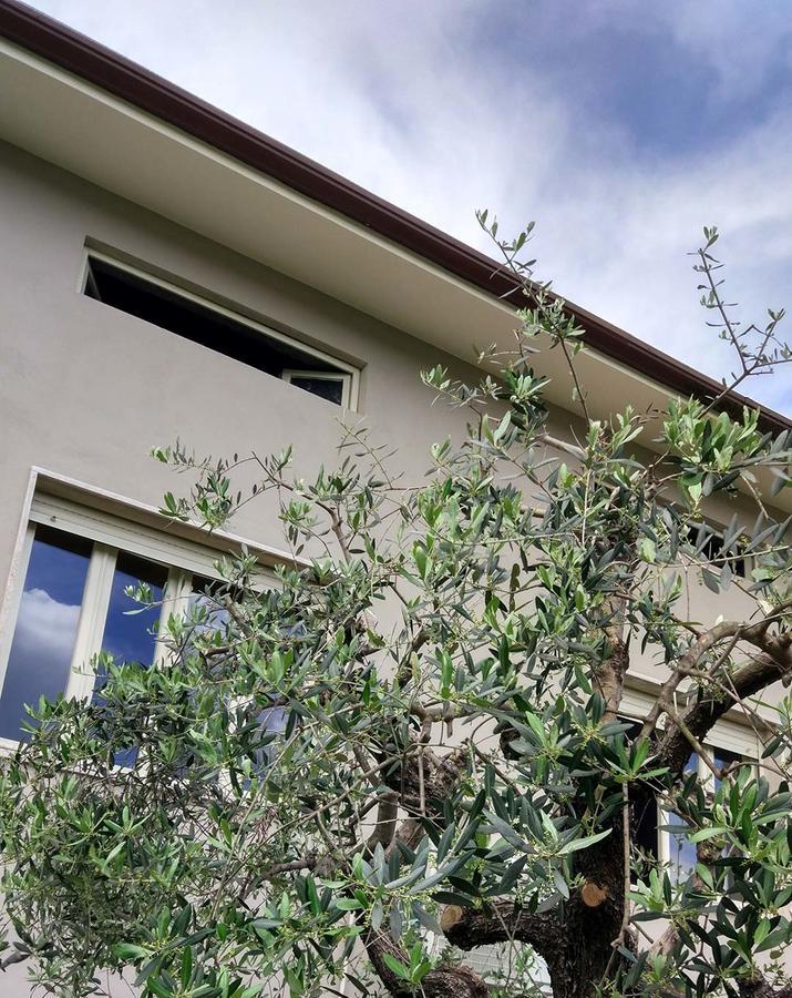 La Locanda Francigena Bed and Breakfast Lucca Esterno foto
